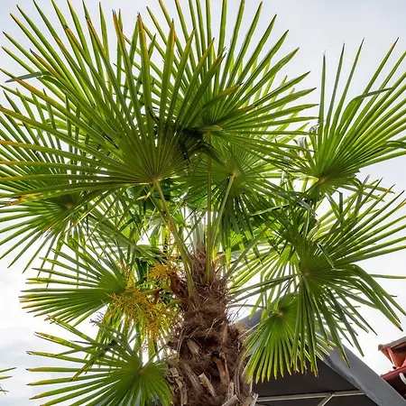 Bella Terra Nature Living Szálloda *