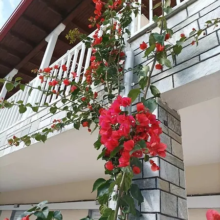 Bella Terra Nature Living *