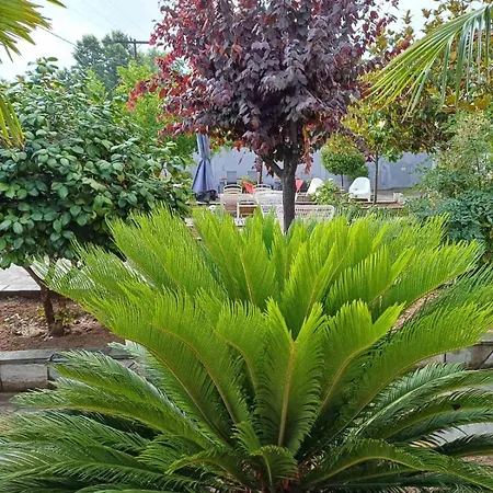 Bella Terra Nature Living *