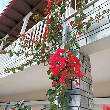 מלון Bella Terra Nature Living