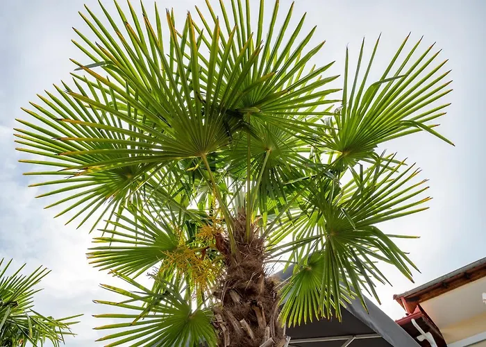 Bella Terra Nature Living Hotel *