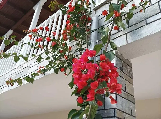 Bella Terra Nature Living *