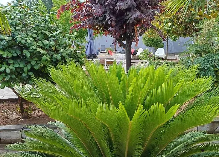 Bella Terra Nature Living *